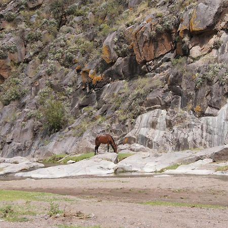 San Agustín de Valle Fértil Altos Del Valle المظهر الخارجي الصورة