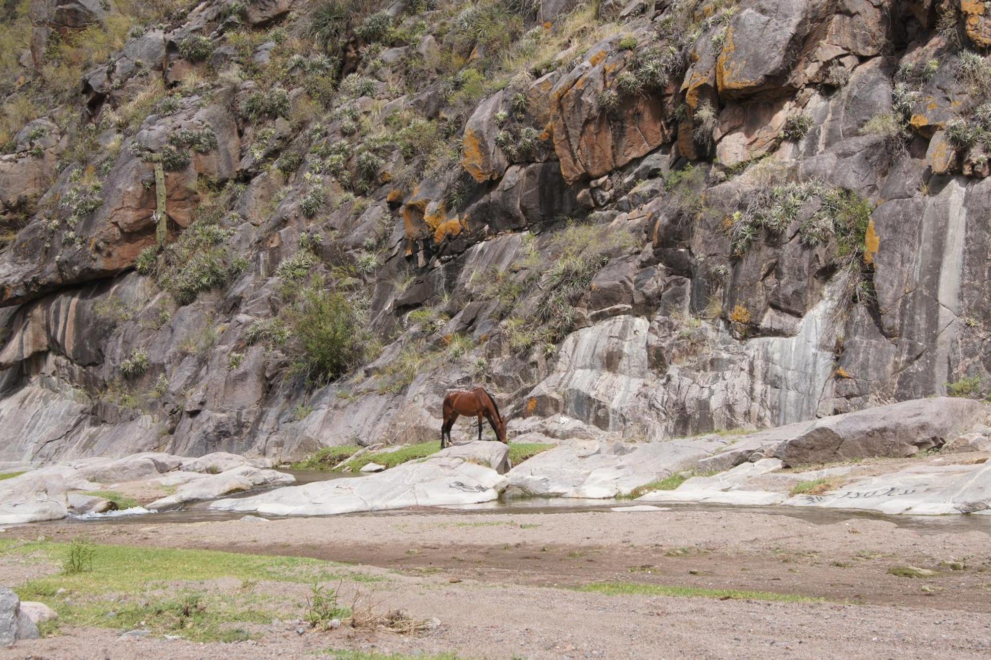 San Agustín de Valle Fértil Altos Del Valle المظهر الخارجي الصورة